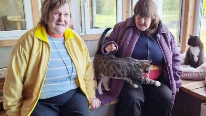 Viesojamies dzīvnieku patversmē “Liberta”