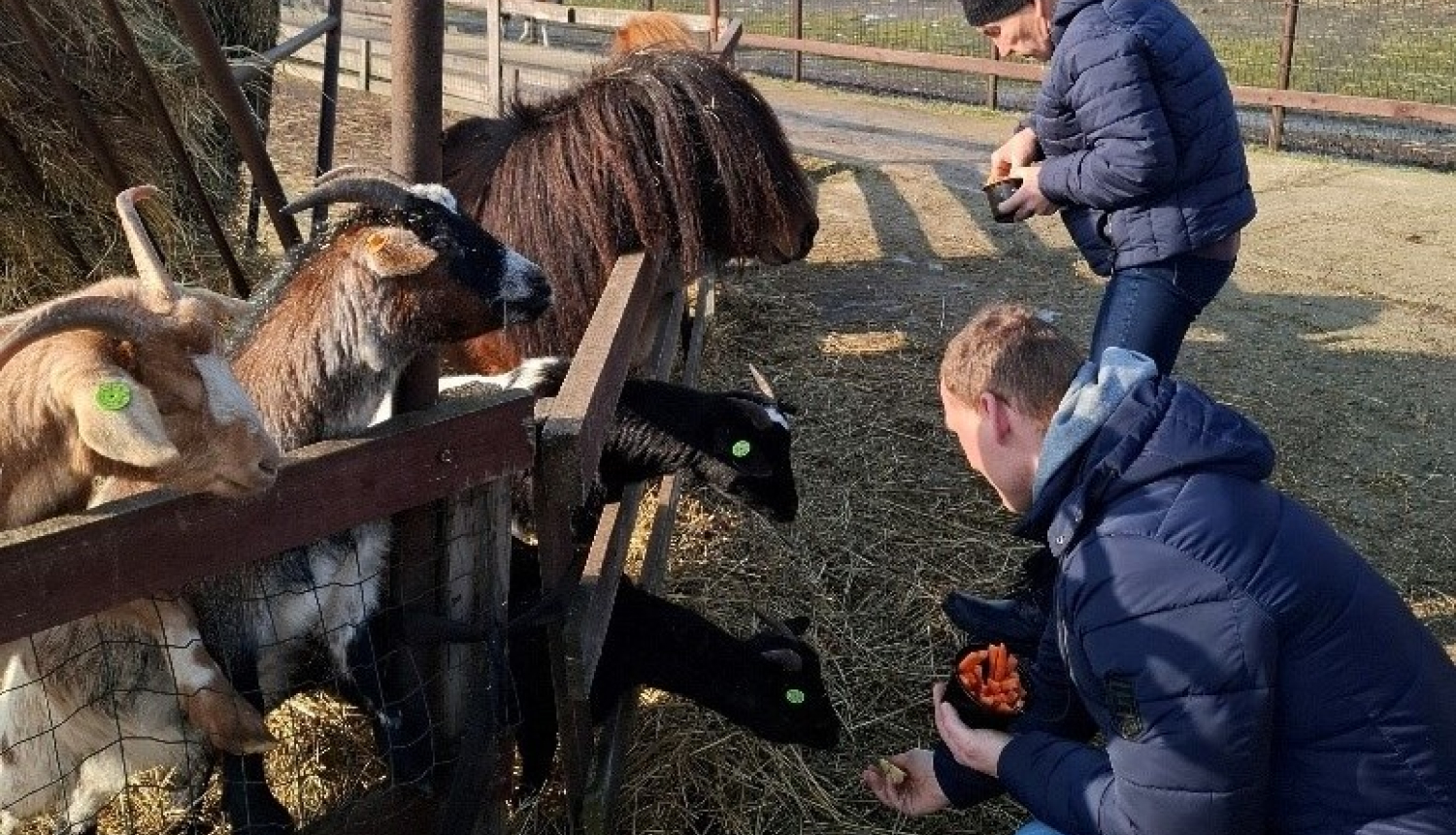 Ekskursija uz mini zoo Atomi